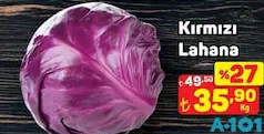 KIRMIZI LAHANA KIRMIZI LAHANA